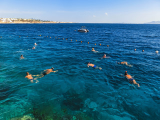 The people snorkeling in blue waters above coral reef on red sea in Sharm El Sheikh, Egypt