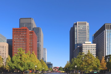 Fototapeta na wymiar 東京・丸の内の高層ビル群 / A view of Marunouchi business district with blue sky - Chiyoda Ward, Tokyo, Japan