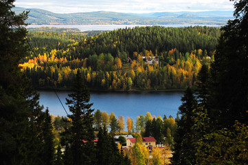 lake in the forest