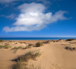Fototapeta na wymiar El Carabassi beach in Elx Elche of Alicante