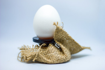 white egg on a blue background on a stand and in a nest of fabric