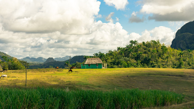 rural cuban landscape in vinales, cuba