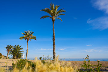 Paradis or Paraiso beach playa in Vila Joiosa