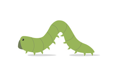 Obraz premium isolated green caterpillar