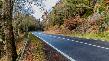 Empty asphalt rural road between autumn trees and wild vegetation, curve in the background, rocky mountain slope, calm cloudy day in the Belgian Ardennes