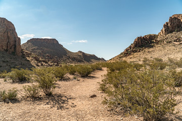 Start Grapevine Hill Trail