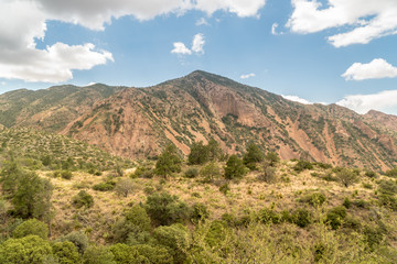 Fototapeta na wymiar Side View Chisos Mountian Basin