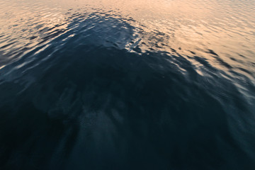 Blue tropical sea surface with waves and ripples.