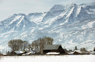 Farm and Mt. Timpanogos - Heber, Utah