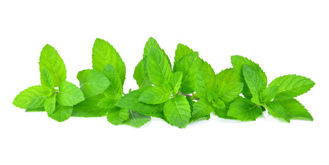 Fresh mint leafs isolated on a white background