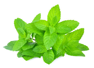 Fresh mint leafs isolated on a white background