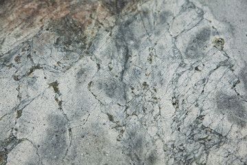 texture of light gray beige marble