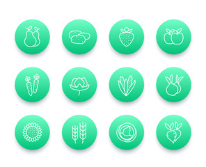 Harvest, farming line icons set