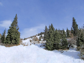 Winter mountain landscape