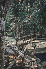 Pathway in a Jungle Nearby the Kuang Si Waterfalls in Laos