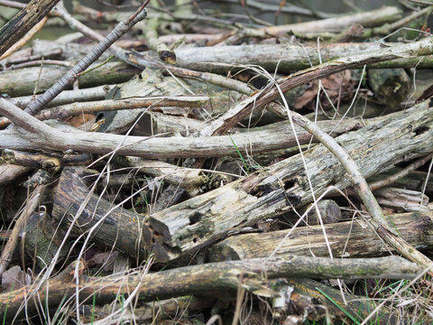 Eine Kn&uuml;ppelburg als Unterschlupf f&uuml;r Tiere im Garten
