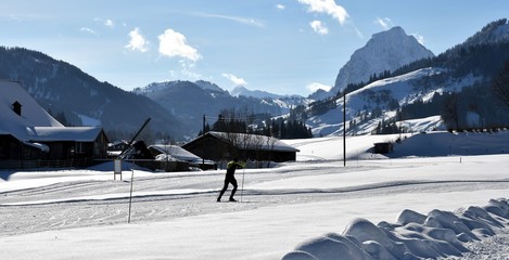 suisse alpine