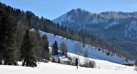 suisse alpine