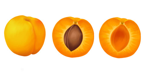 Apricot whole and sliced ​​on a white background