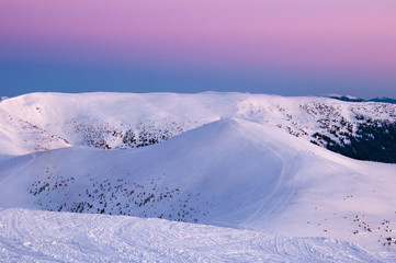 Beautiful alpine panoramic views of the snow-capped mountains. Magic pink Sunrise in the mountains in a winter frosty day. Location Carpathian national park, Ukraine, Europe. Alpine ski resort.