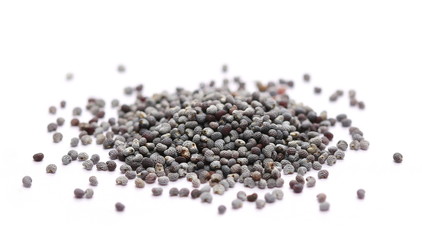 Poppy seeds macro isolated on white background