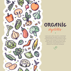 Vector design booklet with the decor of the fruit. The vertical pattern of natural vegetables. Seamless decor vegetarian meal for the poster, banner. Seamless vertical vegan pattern with vegetables.