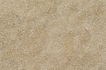 Top view of sandy beach. Background with copy space and visible sand texture.