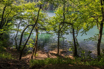 Beautiful view in Plitvice Lakes National Park. Croatia