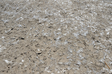 Dry land background. Salt Creek Trail in Death Valley National Park, California, USA