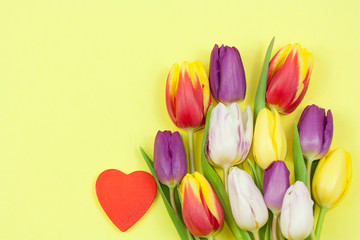 Colorful spring tulips with heart.