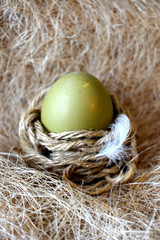 Easter egg in the nest.