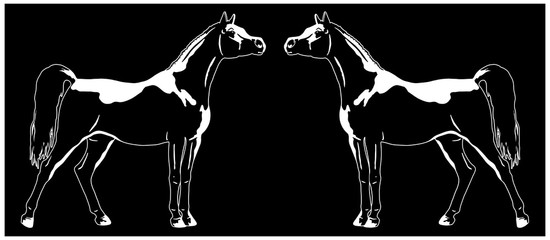 Arabian horses logo, vector illustration