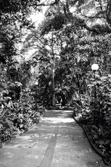 orquid&aacute;rio municipal