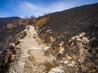 Burnt slopes of Monte Bolettone