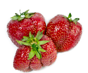 strawberry, ripe berries, the small depth of sharpness