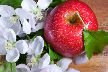 ripe apple and white apple tree flowers on wooden background