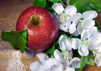 ripe apple and white apple tree flowers on wooden background
