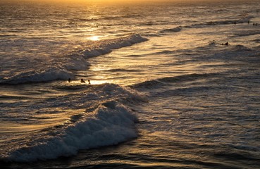 silhouettes of surfers surfing during sunset in Huntington Beach California 