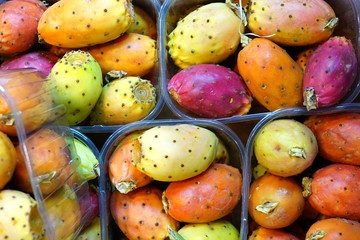 Containers of colorful red and yellow fruit of the prickly pear nopales cactus (opuntia)