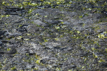 Background -Stone texture with moss - Stone Wall, Norway
