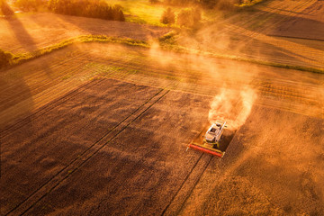 Traktor auf Feld bei Getreideernte (Sonnenuntergang mit warmen Farben) / Ernte - Luftaufnahme #6