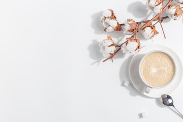 A branch of cotton and a cup of coffee with milk on a light background. Top view. Copy space.