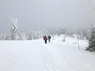 Fototapeta na wymiar Hikers on Velebit mountain in Croatia, winter landscape