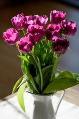 Schöner Tulpen Strauß im Frühling