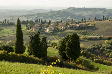 Fototapeta premium Landschaft in der Toskana