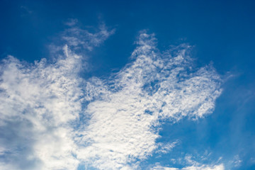 Close-up of clouds in the form of a dog profile in the blue sky