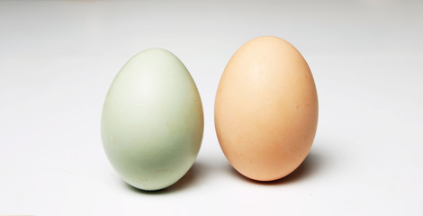 Frisch und Gesunde Eiern