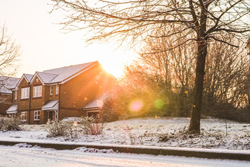 Snowy Street Lens Flair