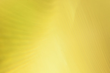 Flow speed yellow abstract modern card design