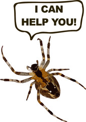 Arachnophobia - We can help you! 